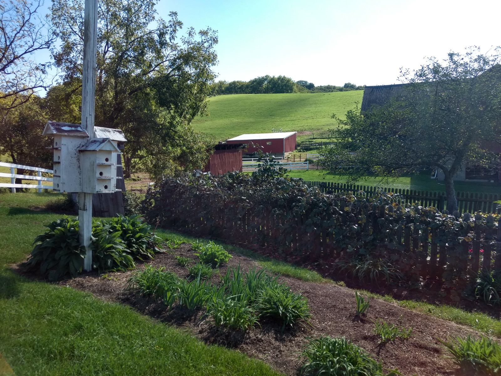 A garden in the Ohio Amish country